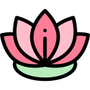 cultures,yoga,meditation,nature,oriental,chakra,hinduism,blossom,lotus flower,buddha